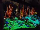 PICTURES/Desert Botanical Garden Electric Desert Exhibit/t_20181210_193516.jpg